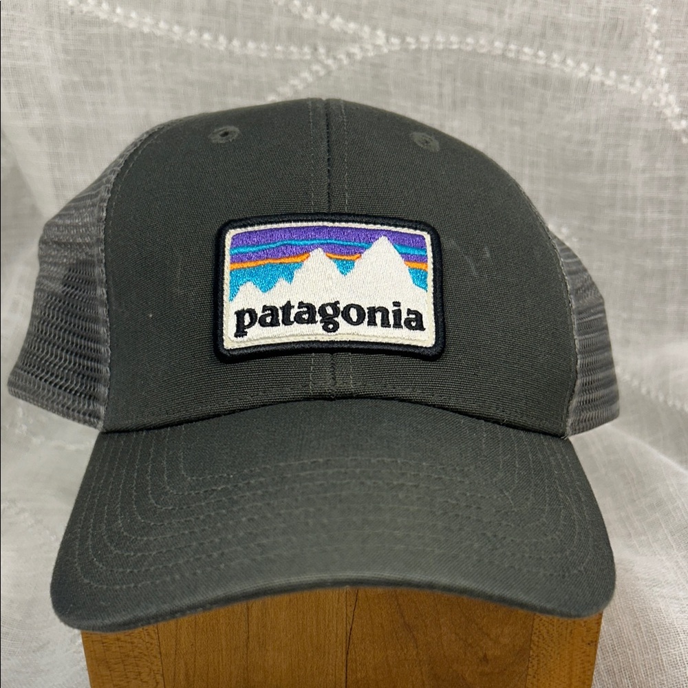 Patagonia Baseball Trucker Cap Hat